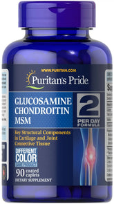 Glucosamine, Chondroitin & MSM-2 Per Day Formula