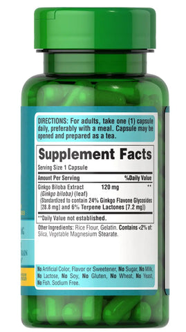Ginkgo Biloba Standardized Extract 120 mg