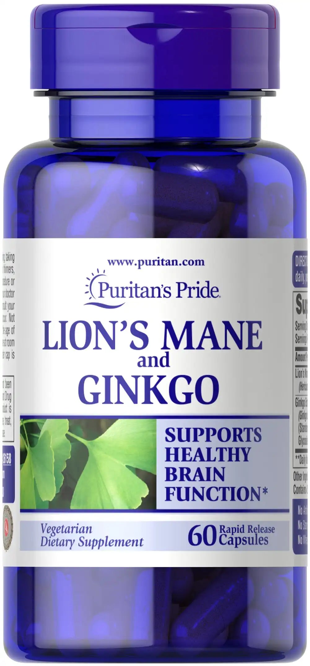 Lion's Mane and Ginkgo