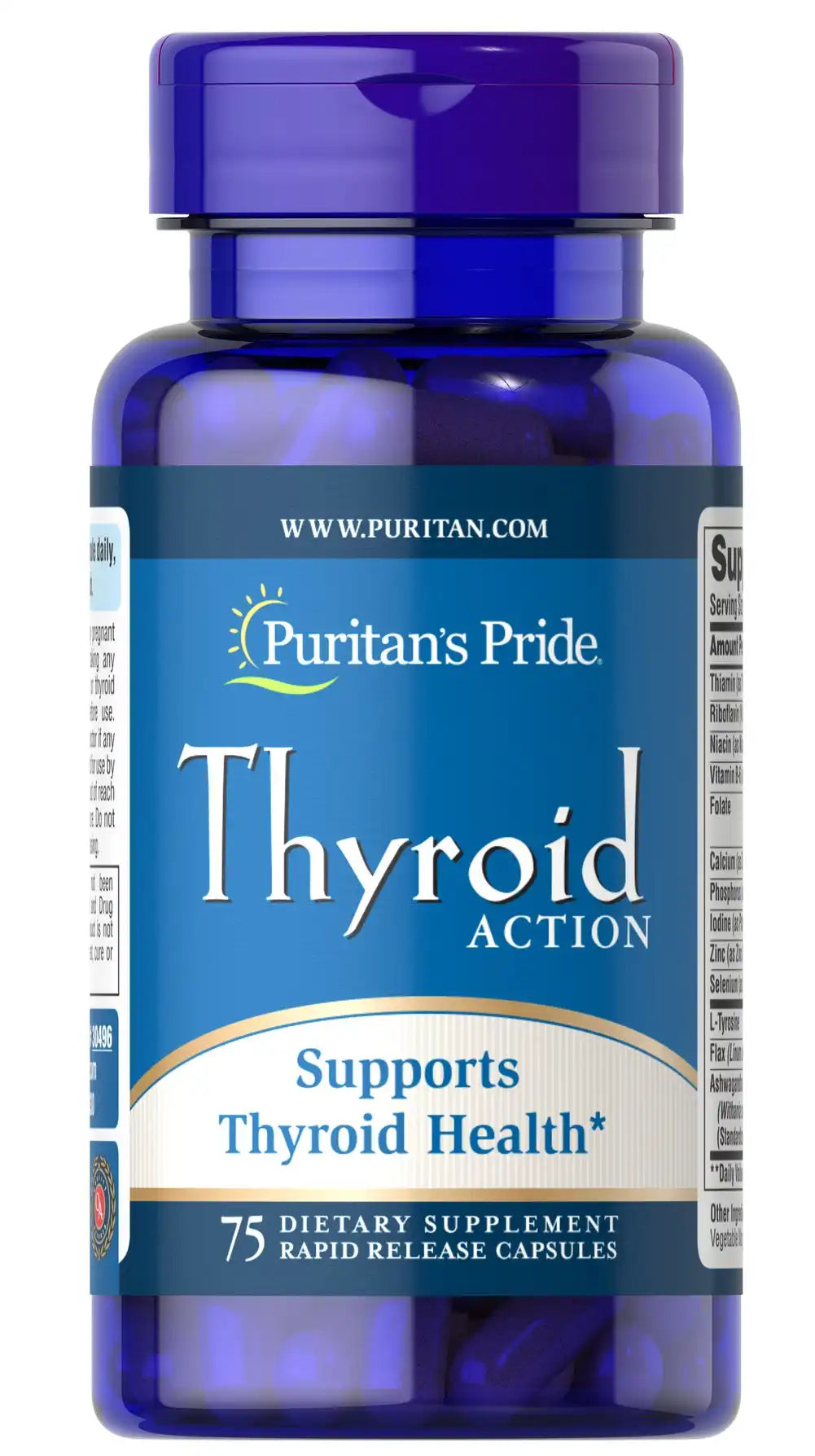 Thyroid Action