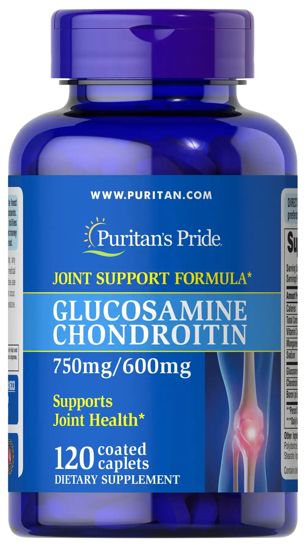 Glucosamine Chondroitin 750 mg/600 mg