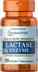 Lactase Enzyme