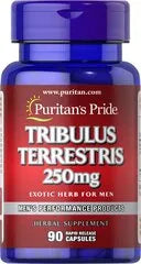 Tribulus Terrestris 250 mg